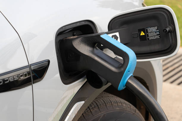 BYD EV South Africa: Pioneering a Sustainable Future