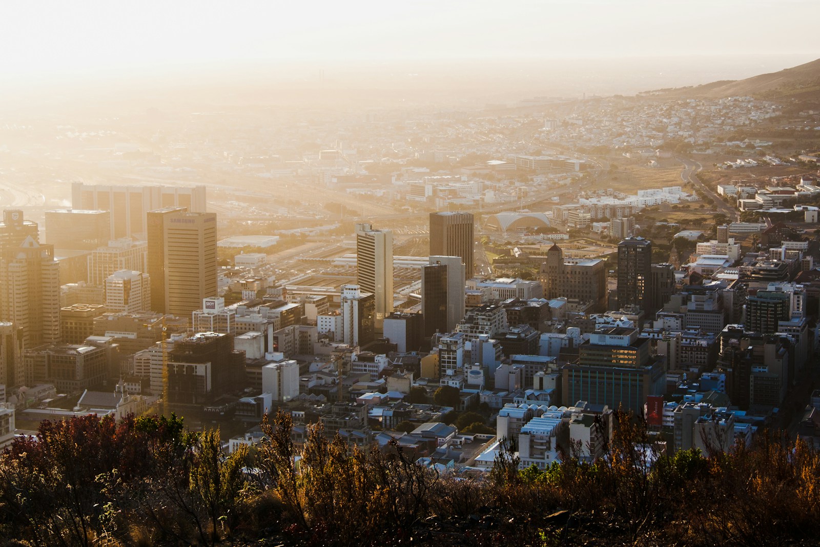 South Africa Must Adapt to “Turbulent Trade Environment”: A Strategic Imperative for Sustainable Growth