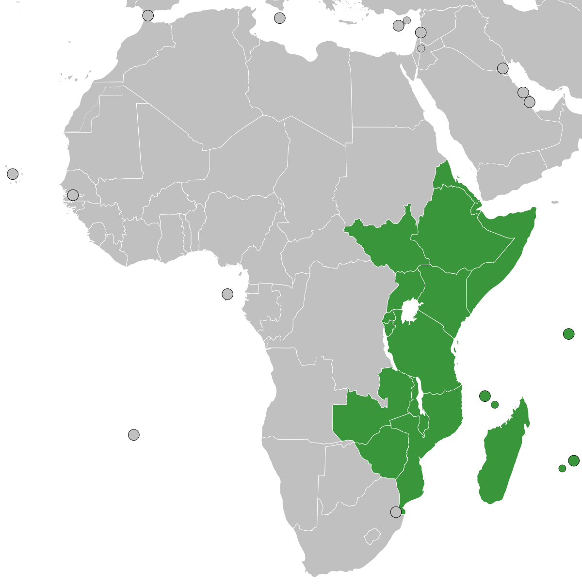 Afrique de l'Est : 5 crises urgentes en 2025