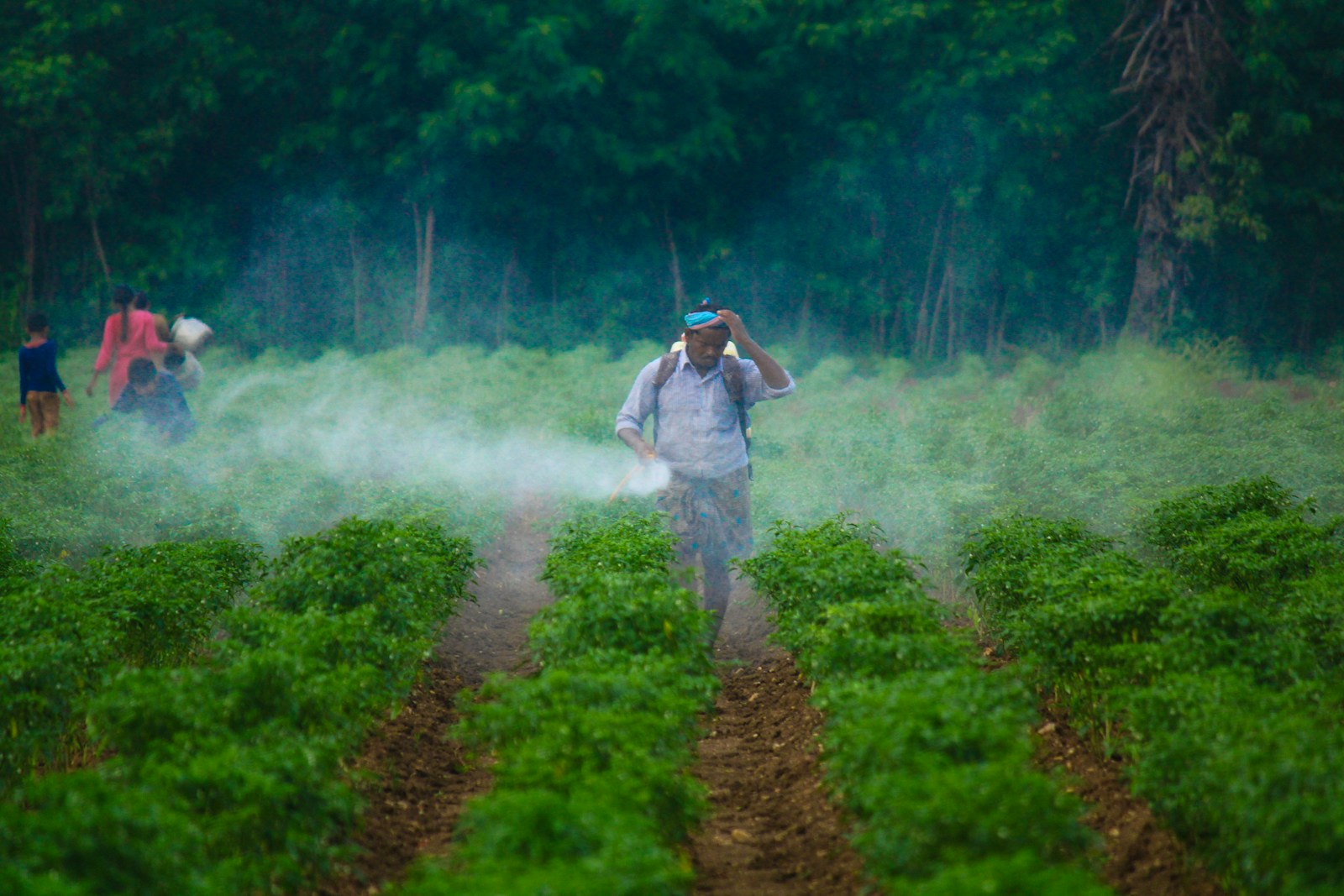 pesticides Africa: Unveiling Toxic Export Risks