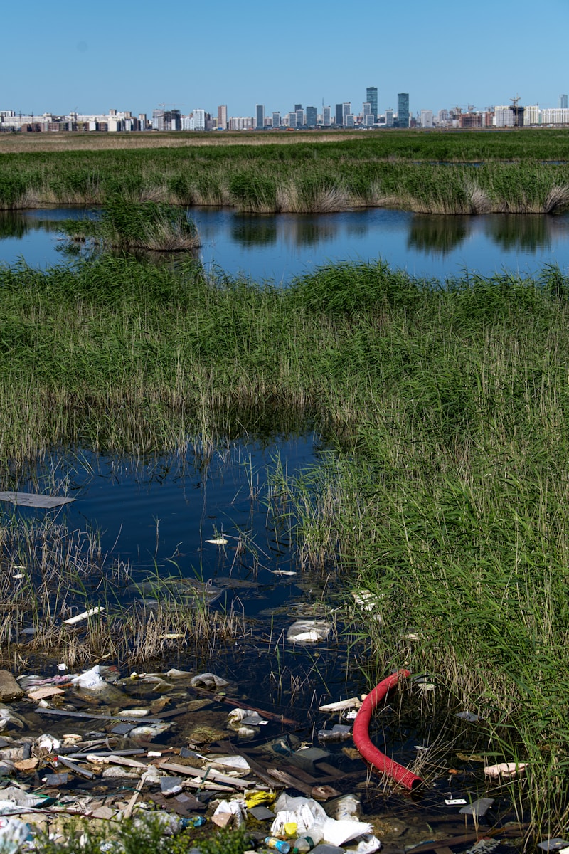 Shell Niger Responsibility: 5 Critical Facts About Oil Pollution Accountability