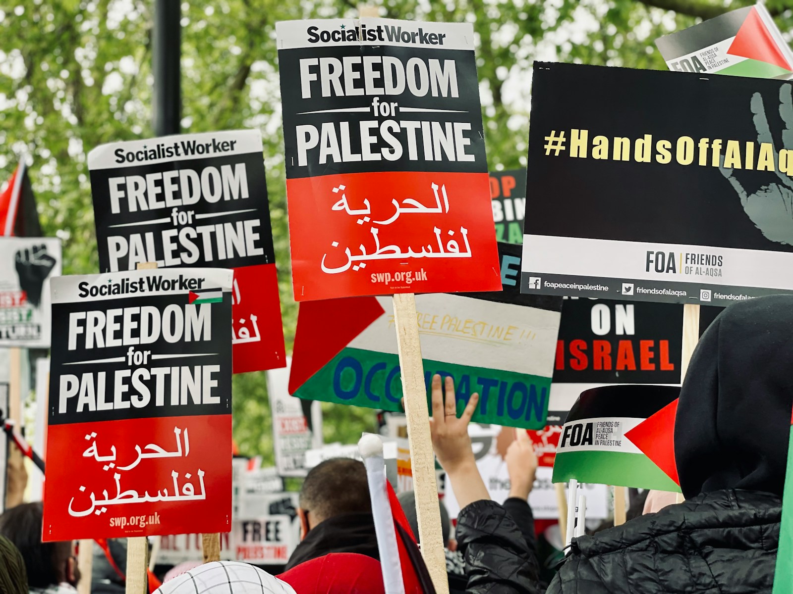 Décision de la CIJ sur le génocide à Gaza : 5 vérités essentielles derrière l'appel à la paix