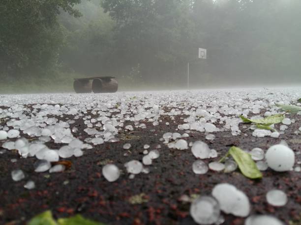 Severe Weather Warnings Trigger Level 5 Alerts Across South Africa