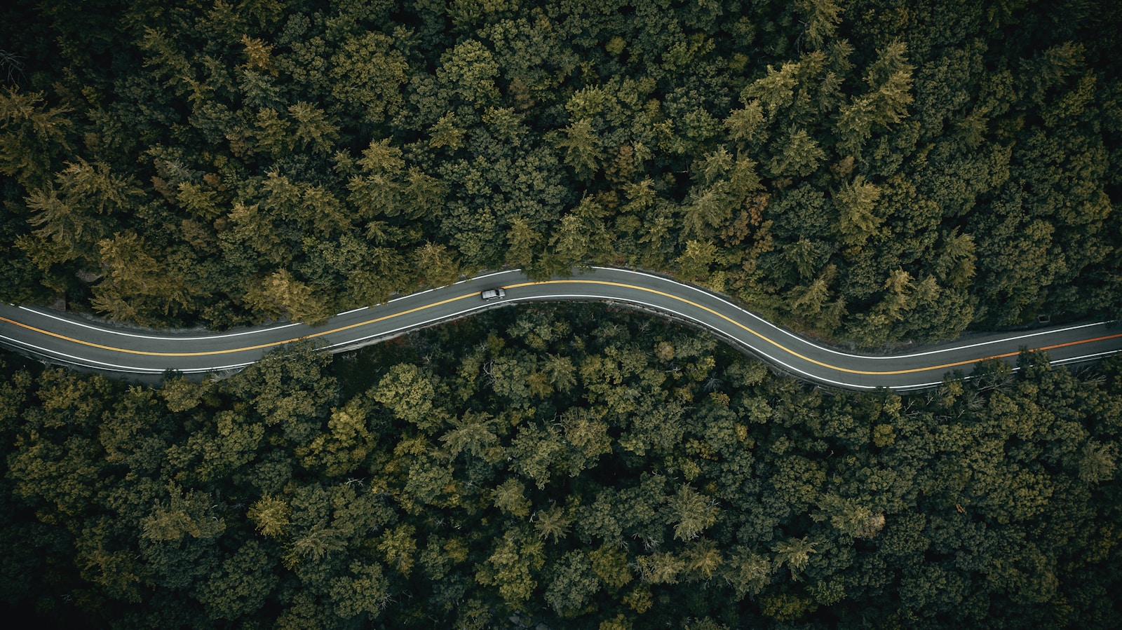 The RN1 Road Project: Paving the Way for Sustainable Development in Congo