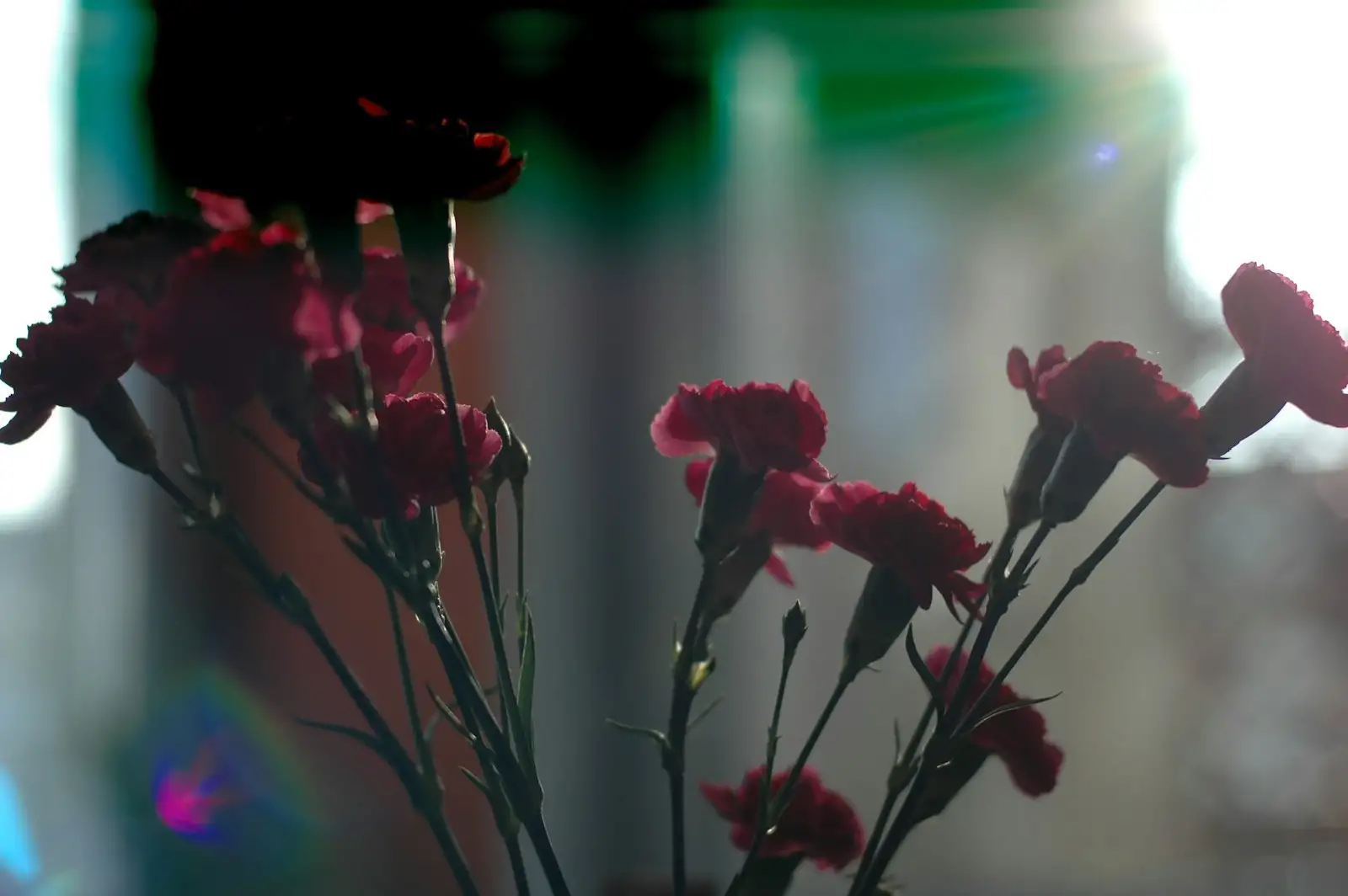 Blink Kant Bo 2 Teasers October 2025: Family Secrets and Shocking Twists