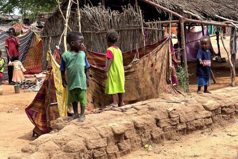 Crise au Darfour : les civils réclament une action internationale urgente