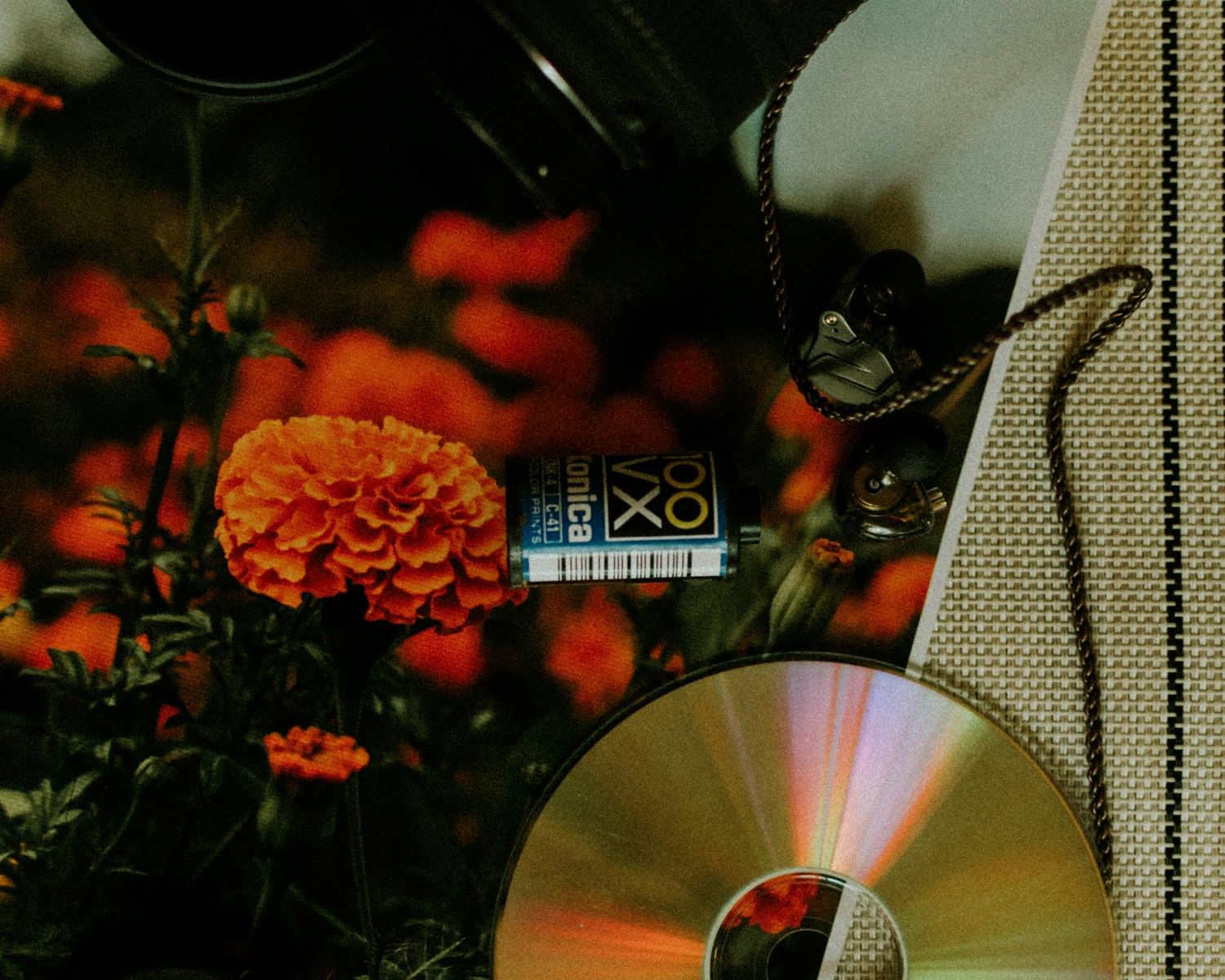 Conversations iMessage, Rema, Omah Lay et l'affaire du concept d'album : 5 vérités essentielles sur cette querelle