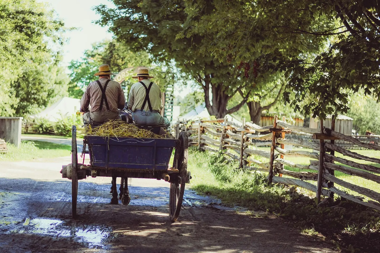 procès agriculteur cochons Afrique du Sud – Affaire choc en milieu rural sud-africain