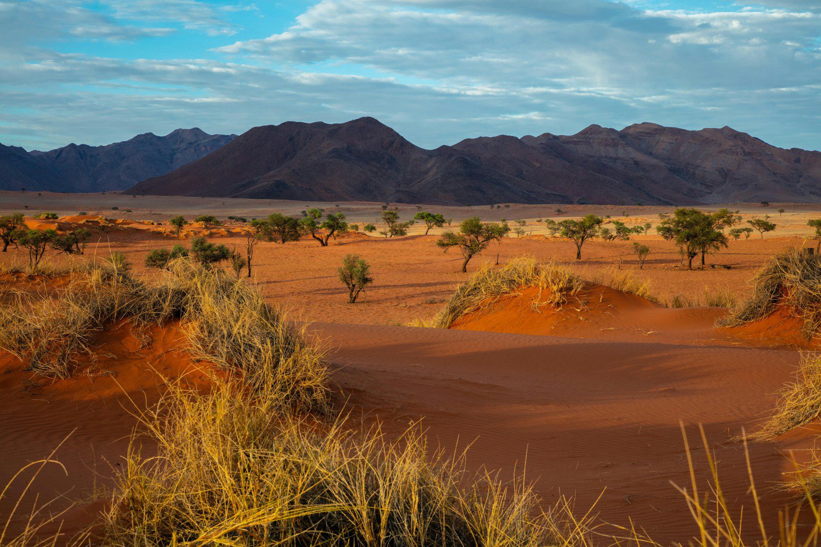 Namibia: Amazing, Warriors Raise Close to N$1 Million At World Cup Campaign Dinner