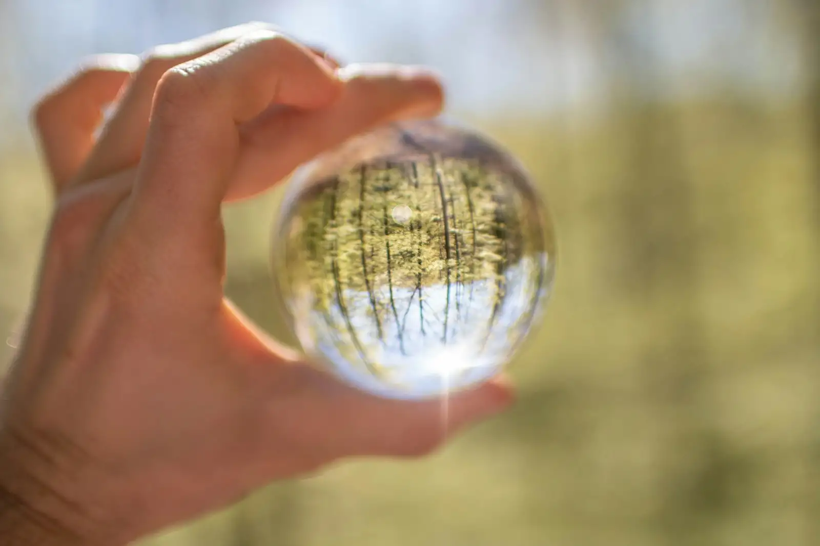 Environmental Breakthroughs: 7 Powerful Innovations Solving Global Challenges in 2024
