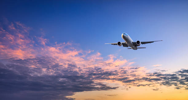 Gaza Flight: 5 Critical Details You Need to Know About the Mysterious Arrival in South Africa