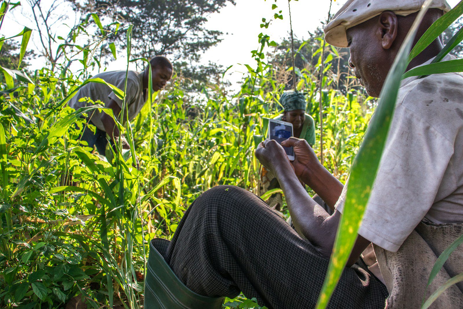 Airtel Money Powerful Benefits for Farmers in Tanzania