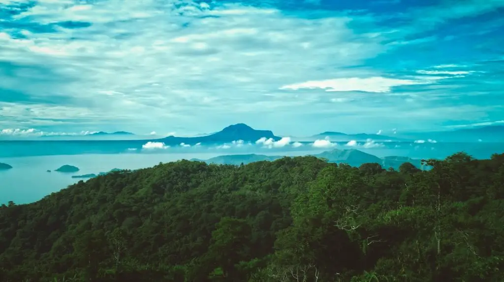 Rodriguan Culture