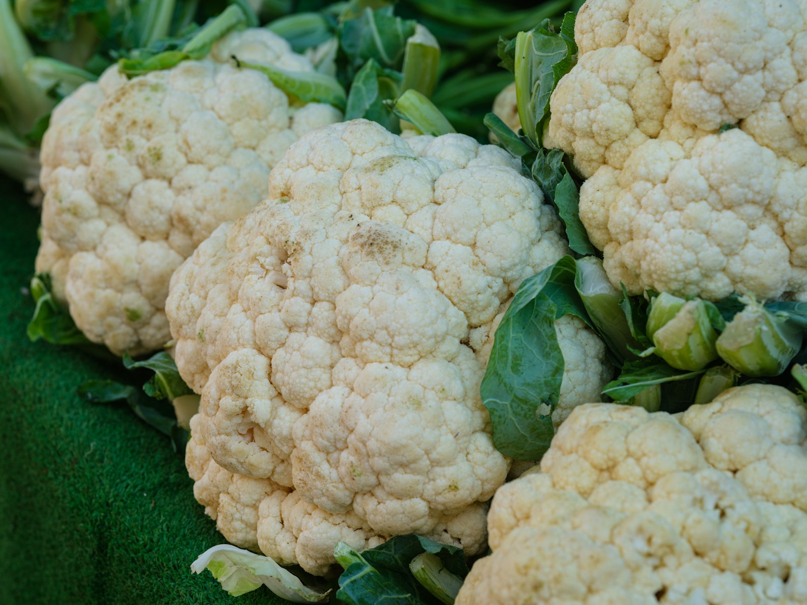 Cauliflower Mauritius: 5 Amazing Benefits for Strong Food Security