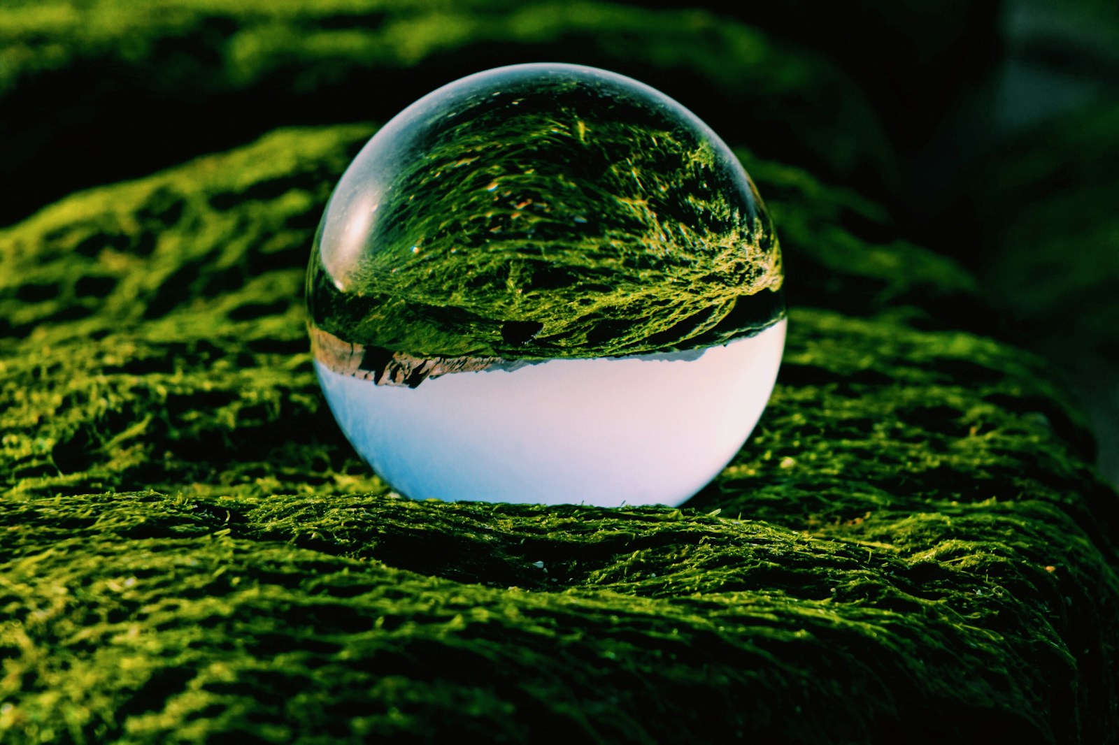 Business Integrity: The Key to Sustainable Commercial Success
