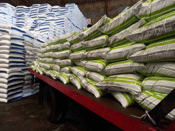 Agri Trade : 9 stratégies qui transforment les partenariats de l'Afrique du Sud en Asie du Sud-Est