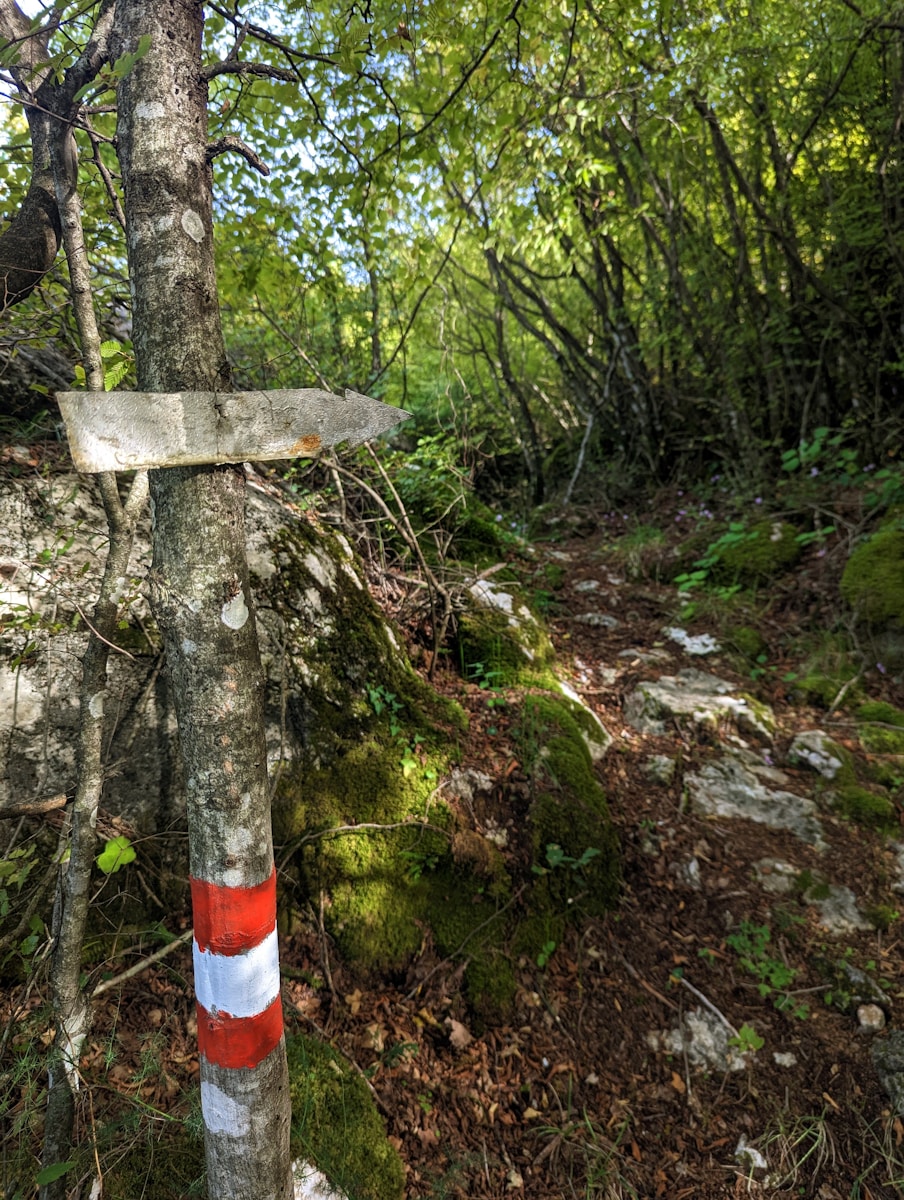 Mort d'un touriste allemand au Le Morne : 5 vérités essentielles sur la tragédie