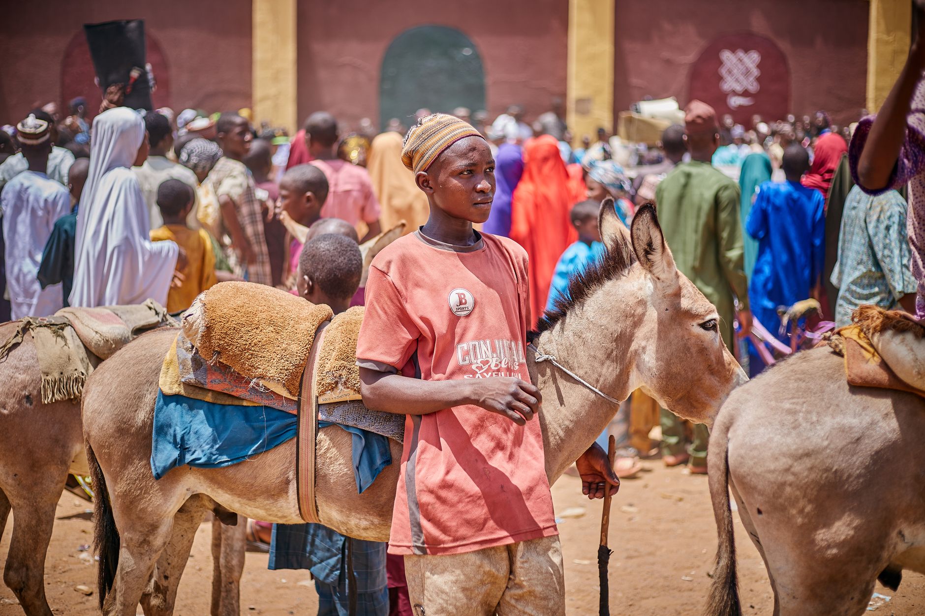 Donkey Skin Trade Africa: 5 Bold Actions to Stop It Now