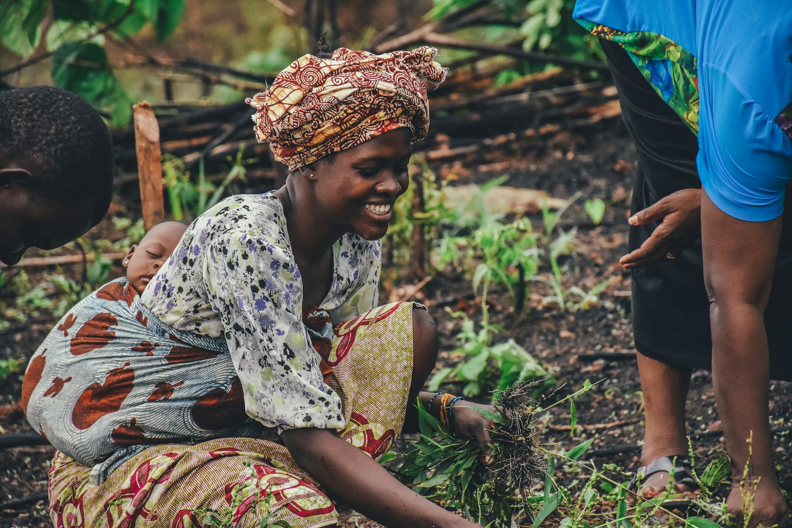 Africa Hunger: 5 Powerful Ways to End Food Crisis