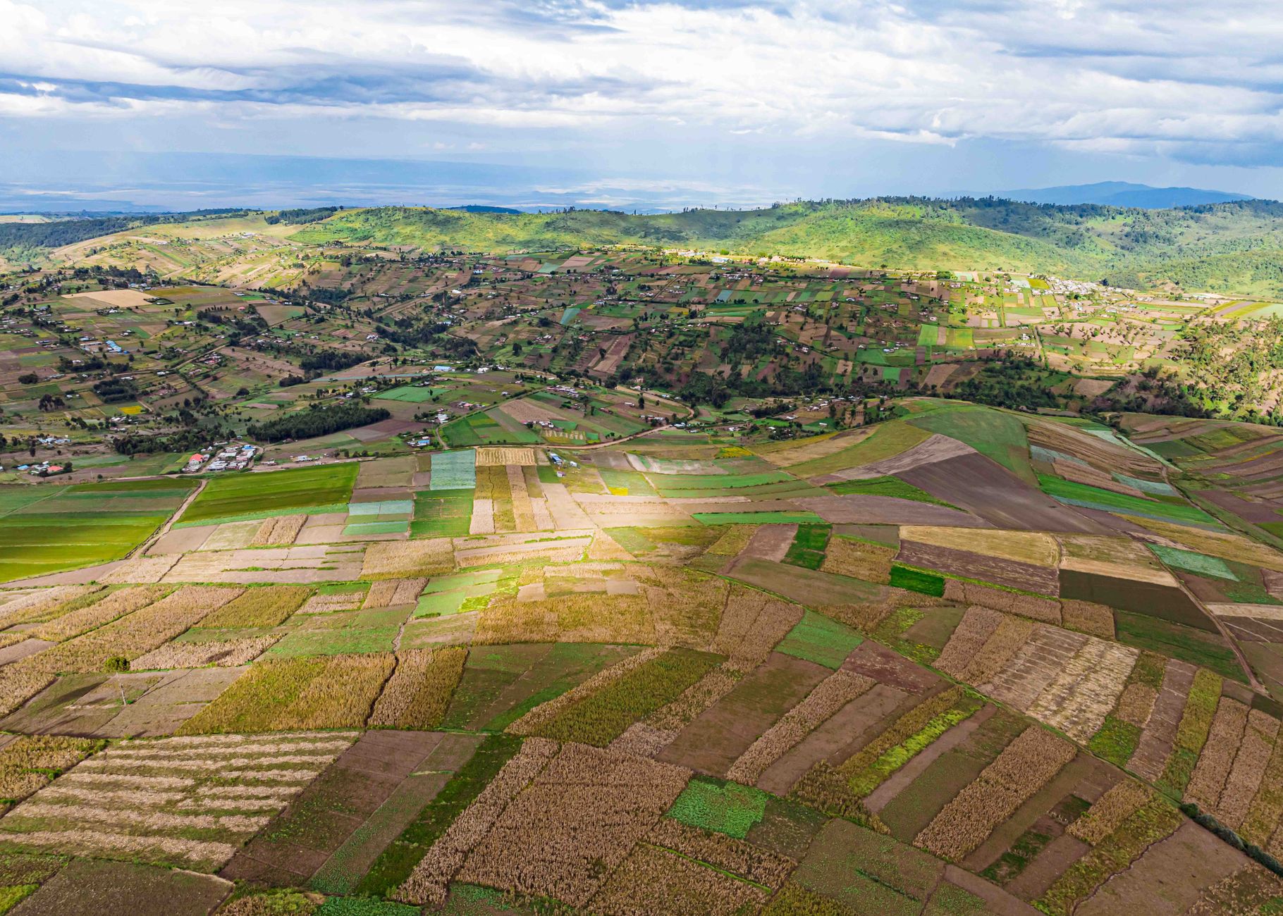 Food Revolution: 5 Powerful Ways Irish Leaders Are Empowering Africa’s Agriculture