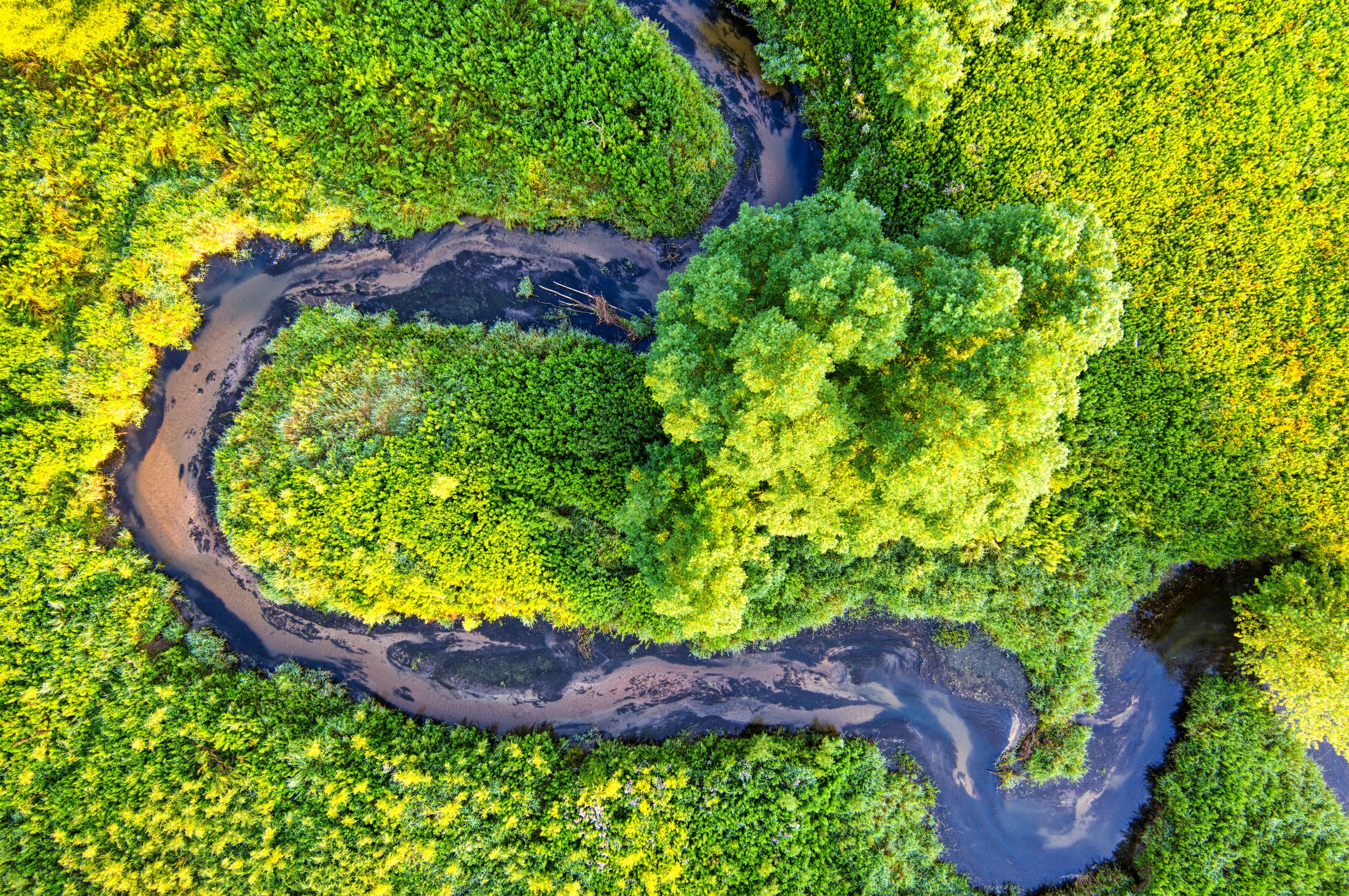 Living With a Crisis They Barely Caused: Africa's Climate Daily Reality