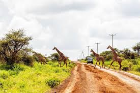 "Explore how e-mobility innovation can connect with Indigenous knowledge in Kenya to create sustainable, community-driven transportation solutions."

