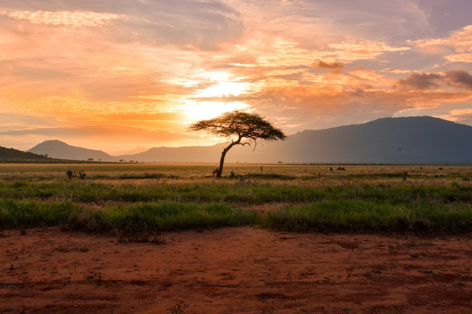 Straight Talk Africa: Unfiltered Perspectives on African Realities