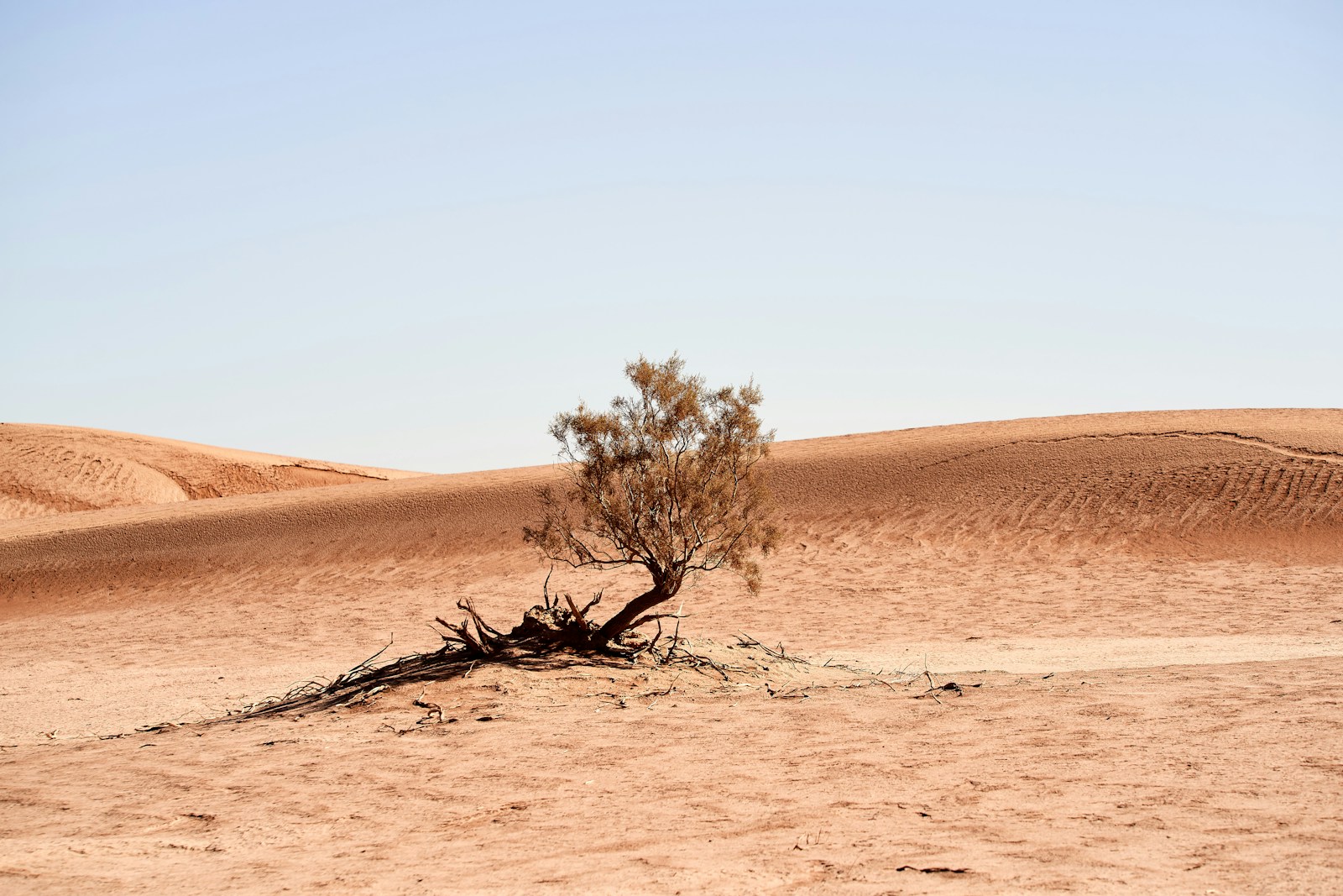 Climate change is worsening Africa's debt burden: new debt instruments could help