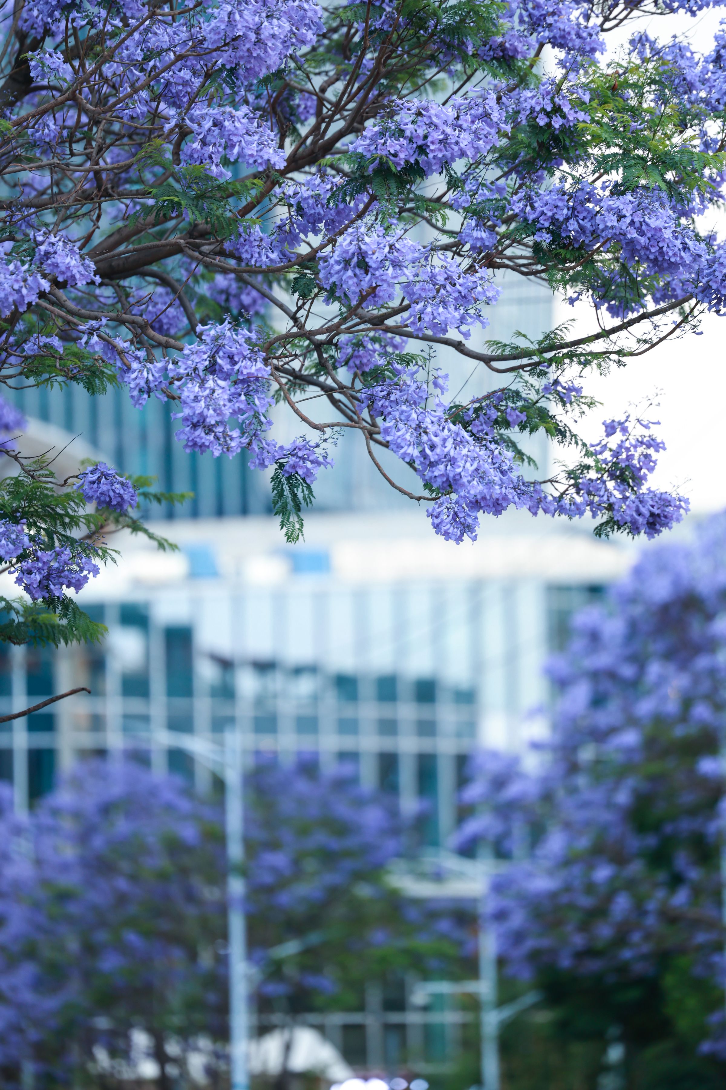 Time Out goes live in Pretoria, its fourth SA city