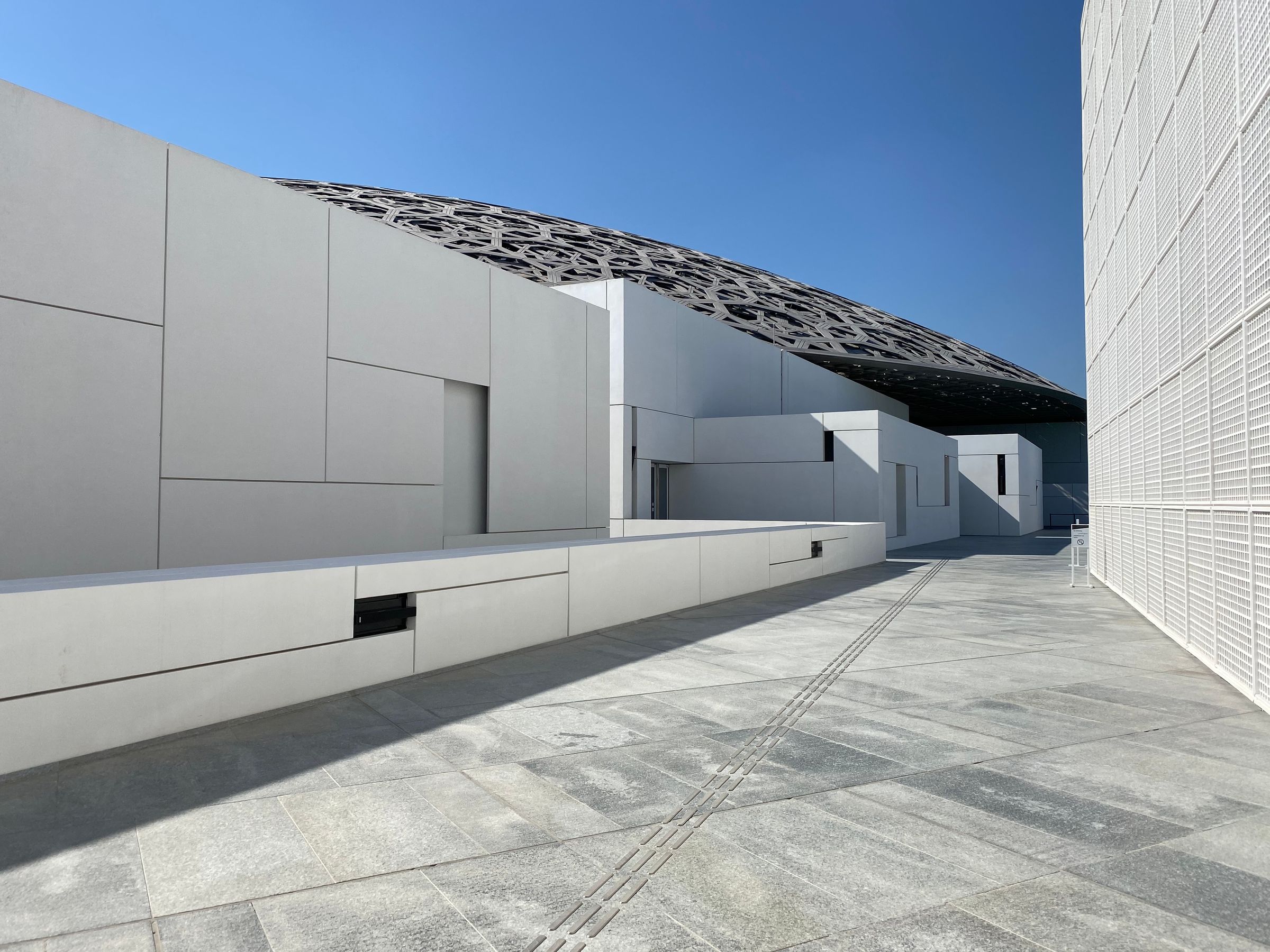 Naming Contest Opens for Abu Dhabi Museum's T. rex, Whale