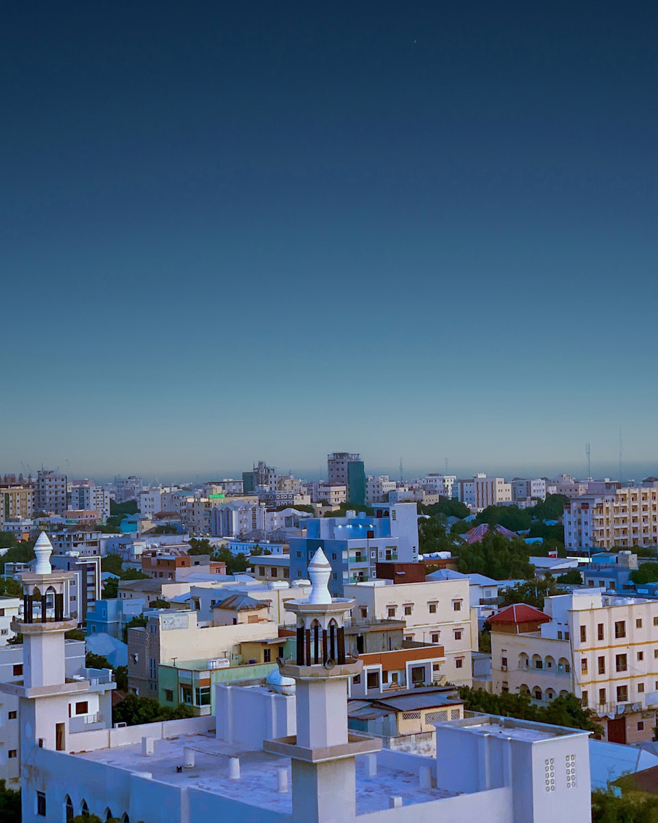 Comment Somalia’s emotions are sensitive to a generation generated by the war 2024