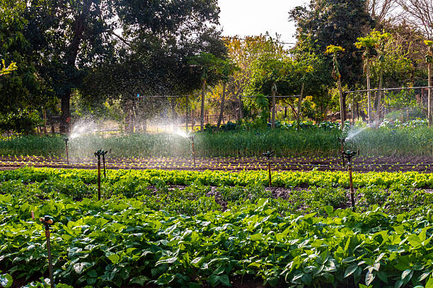Southern Africa’s US$2.1 Billion Agrifood Investment: A Game-Changer for Food Security and Growth