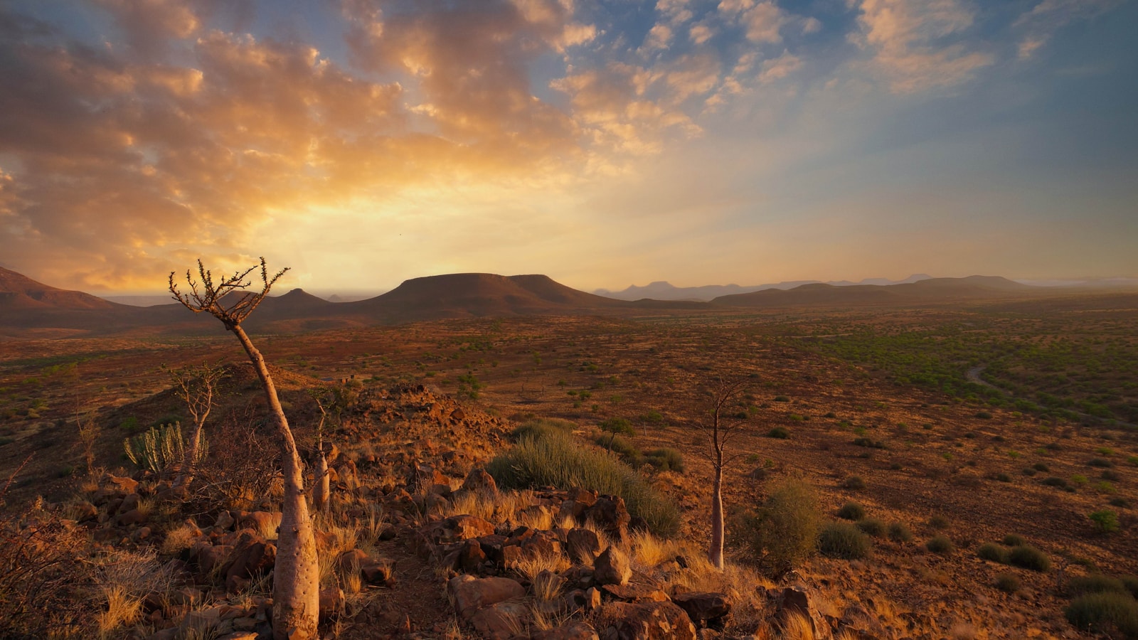 Namibia Celebrates Independence Heroes 2025 but Overlooks a Painful History
