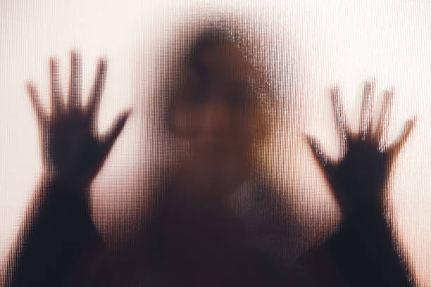 Limpopo Rape Suspect Arrested After New Year Incidents