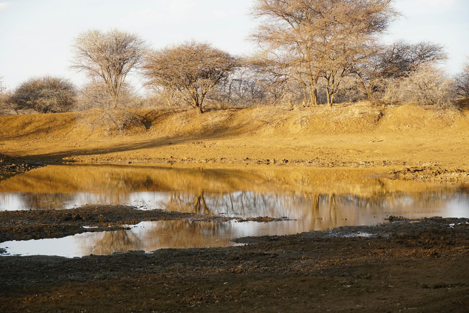 Environmental pollution scandal in Zambia sparks urgent global concern