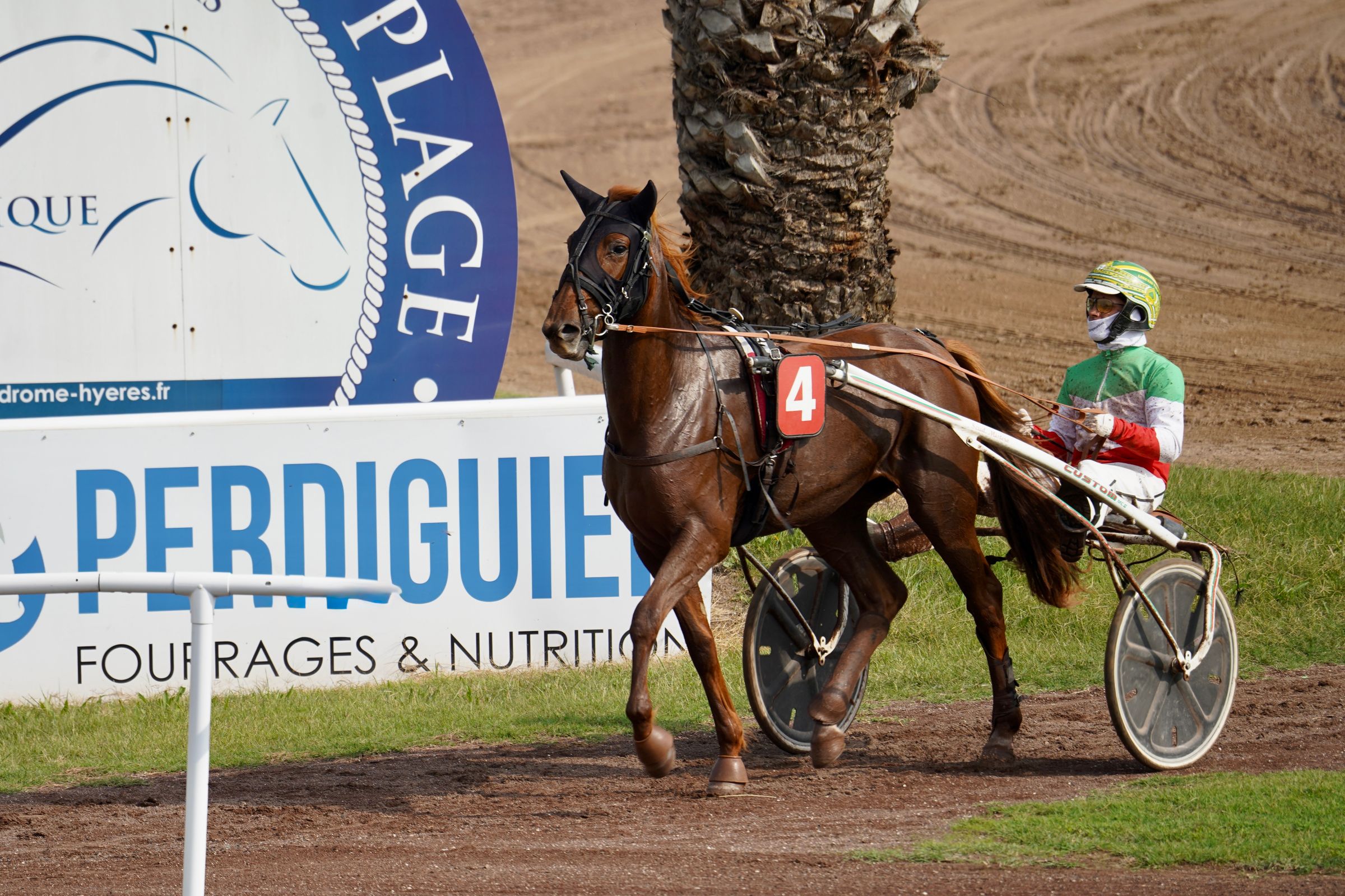 Compiègne samedi : le Grand Steeple (Gr.2) à l'épreuve