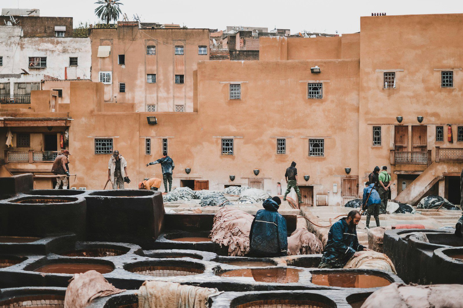 Capital, Conflict & the New Sudan: How Sudan Displacement Reconfigures Power and Identity