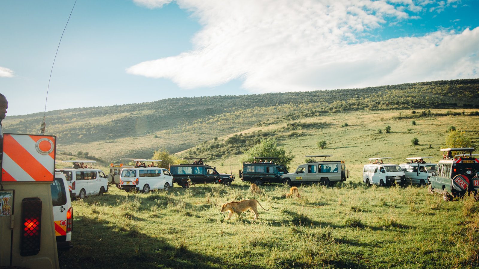 safari tourism: 7 Strong Facts With Positive Impact