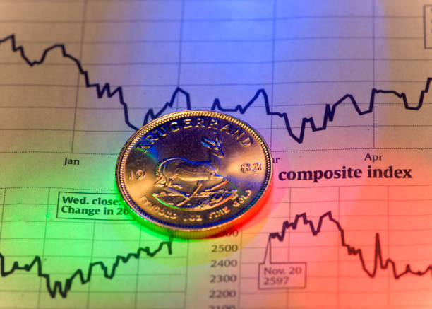 Understanding the South African Rand Decline and Its Economic Ramifications