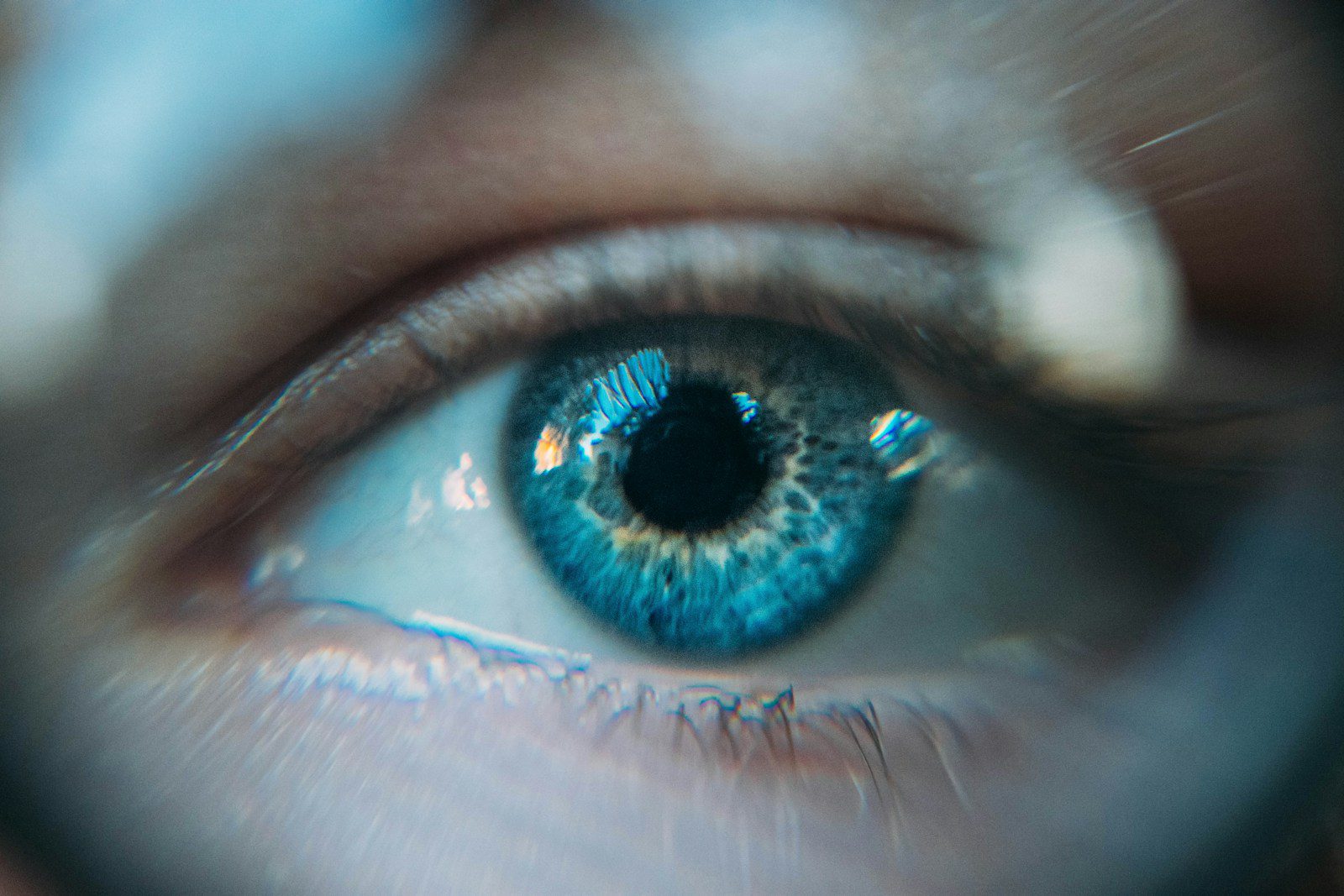 Living in an Obsessively Visual Culture: Understanding the Challenges of Visual Impairment Through Joanne Bloch’s Lens