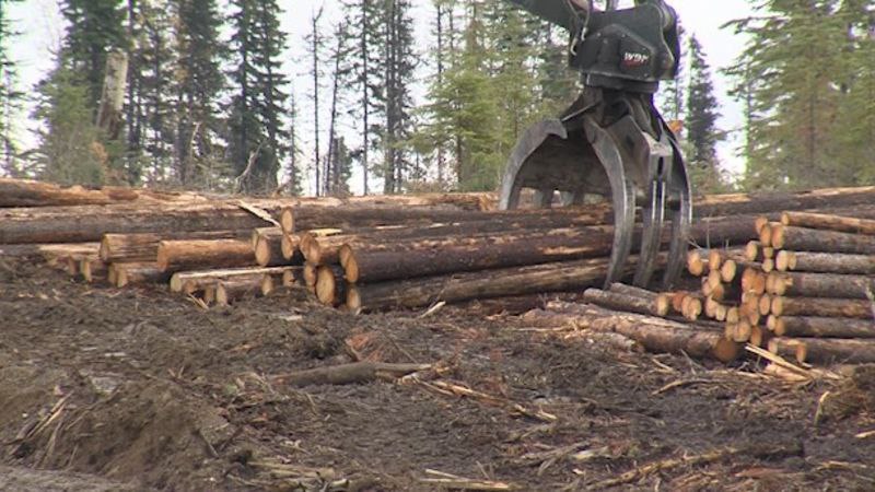 Le programme BC Timber Sales connaît une expansion majeure