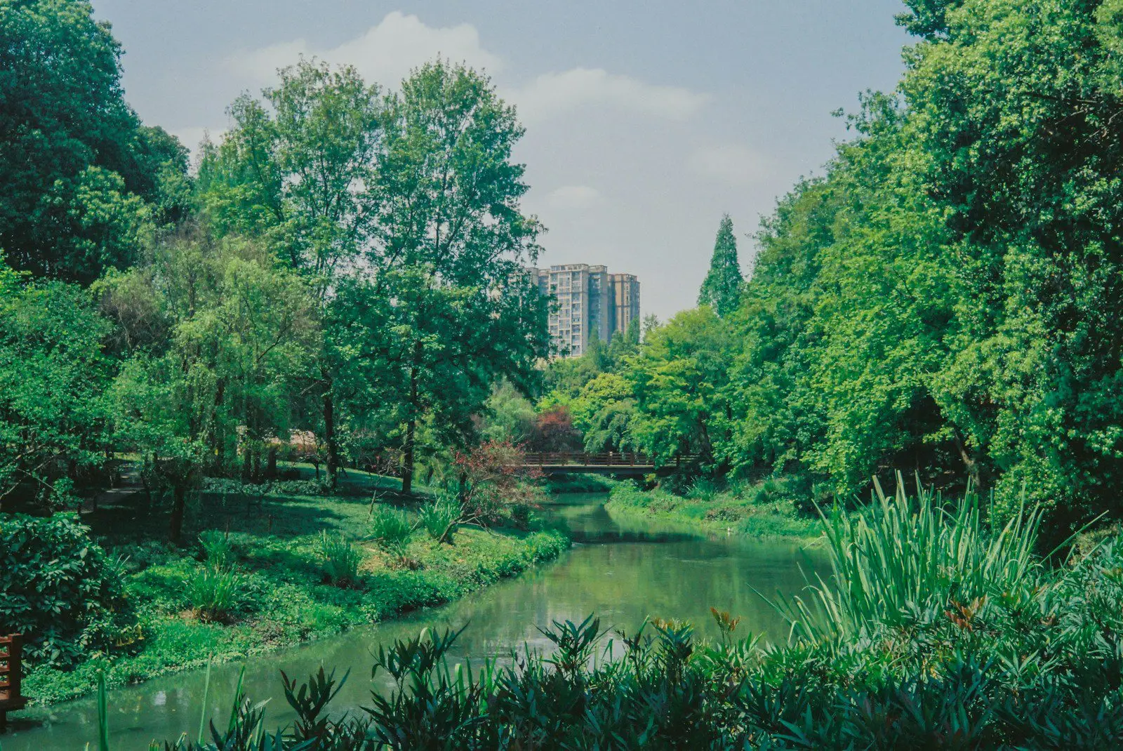 jardin du Bon Dieu et responsabilité environnementale – la Terre comme jardin sacré
