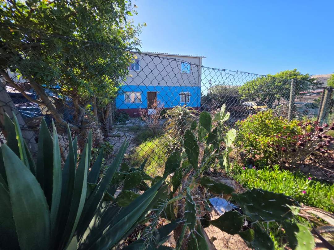 Gruesome Killing Case: Police Probe Sister Murder in South Africa