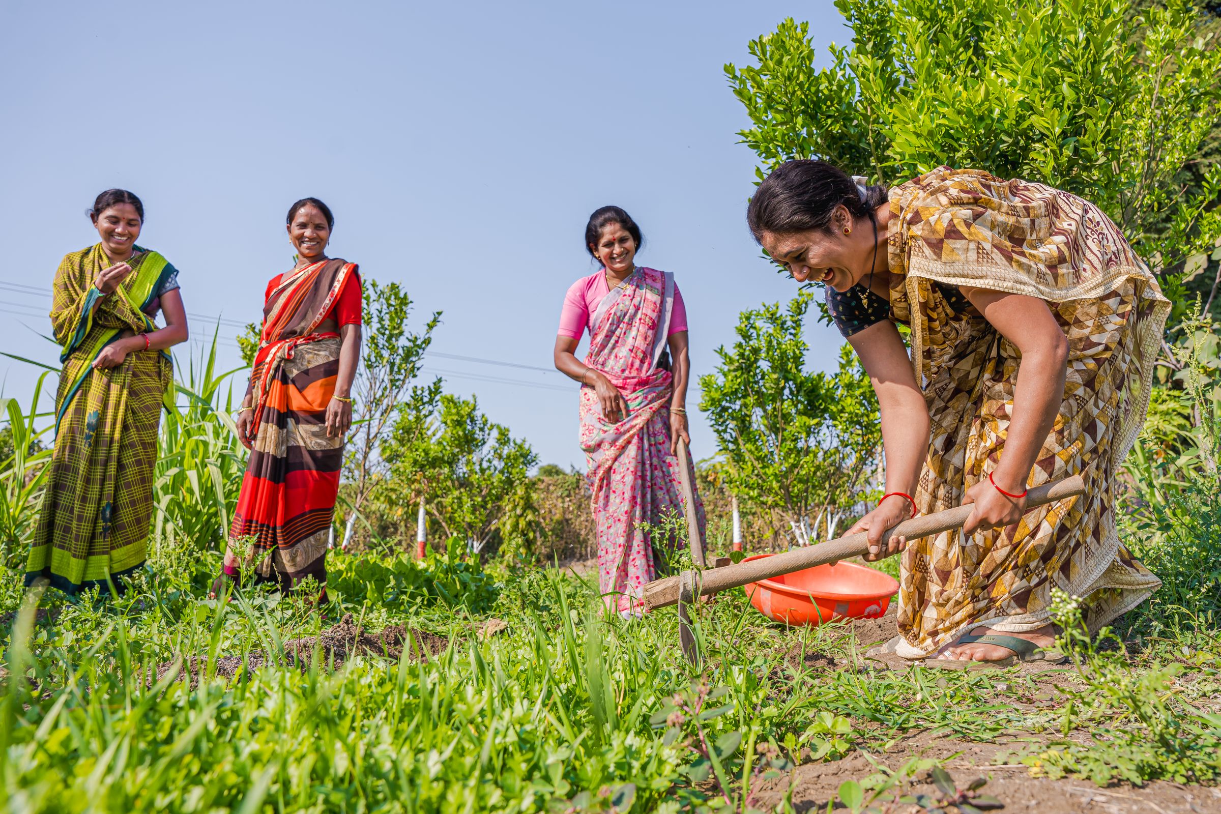 Pesticide Poisoning Hits 385 Million a Year: Farmworkers at Risk