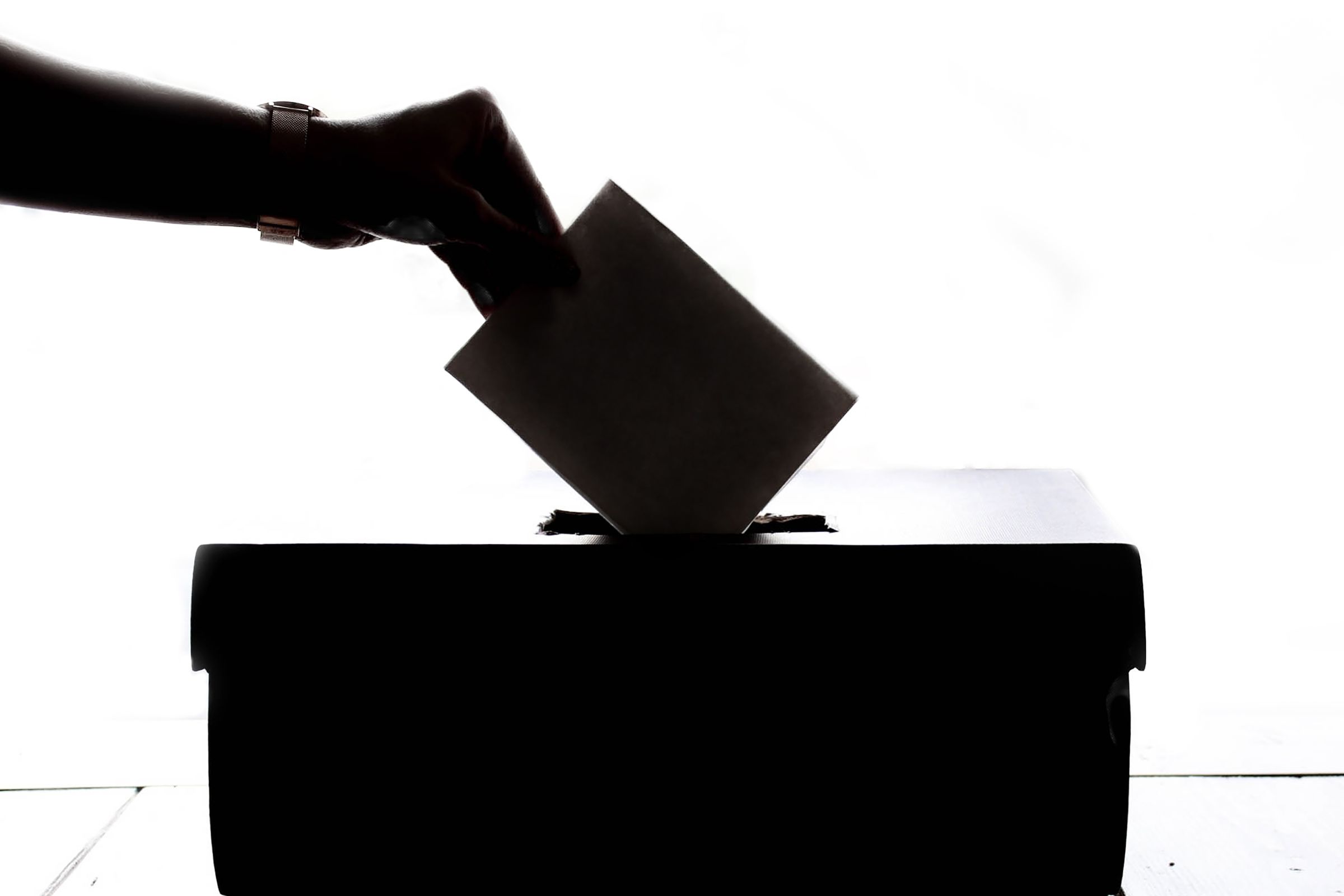 Court dismisses DA bid against rivals' one-name ballot lists