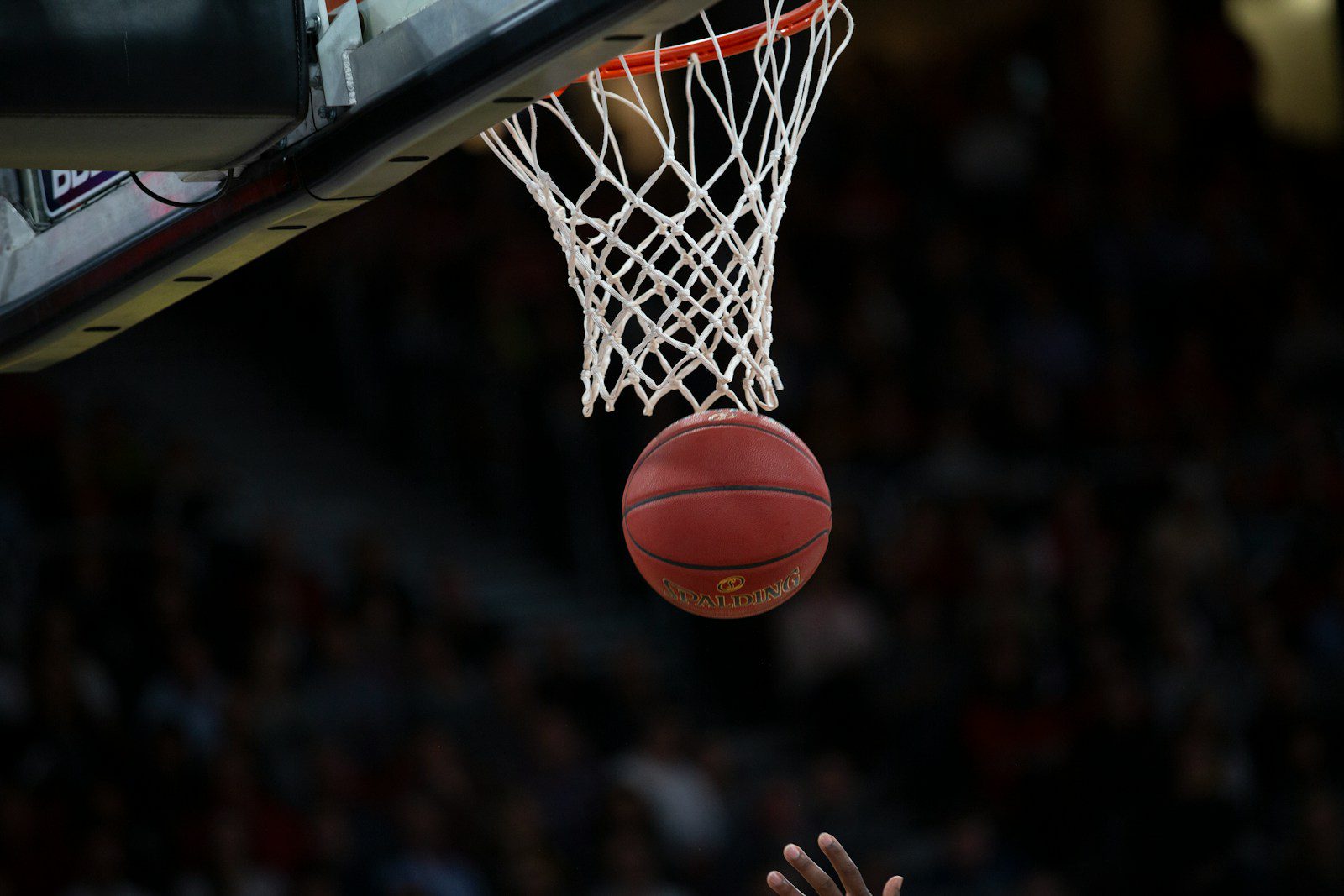 Nigeria’s D’Tigress Rewrite History with 5th Consecutive AfroBasket Victory