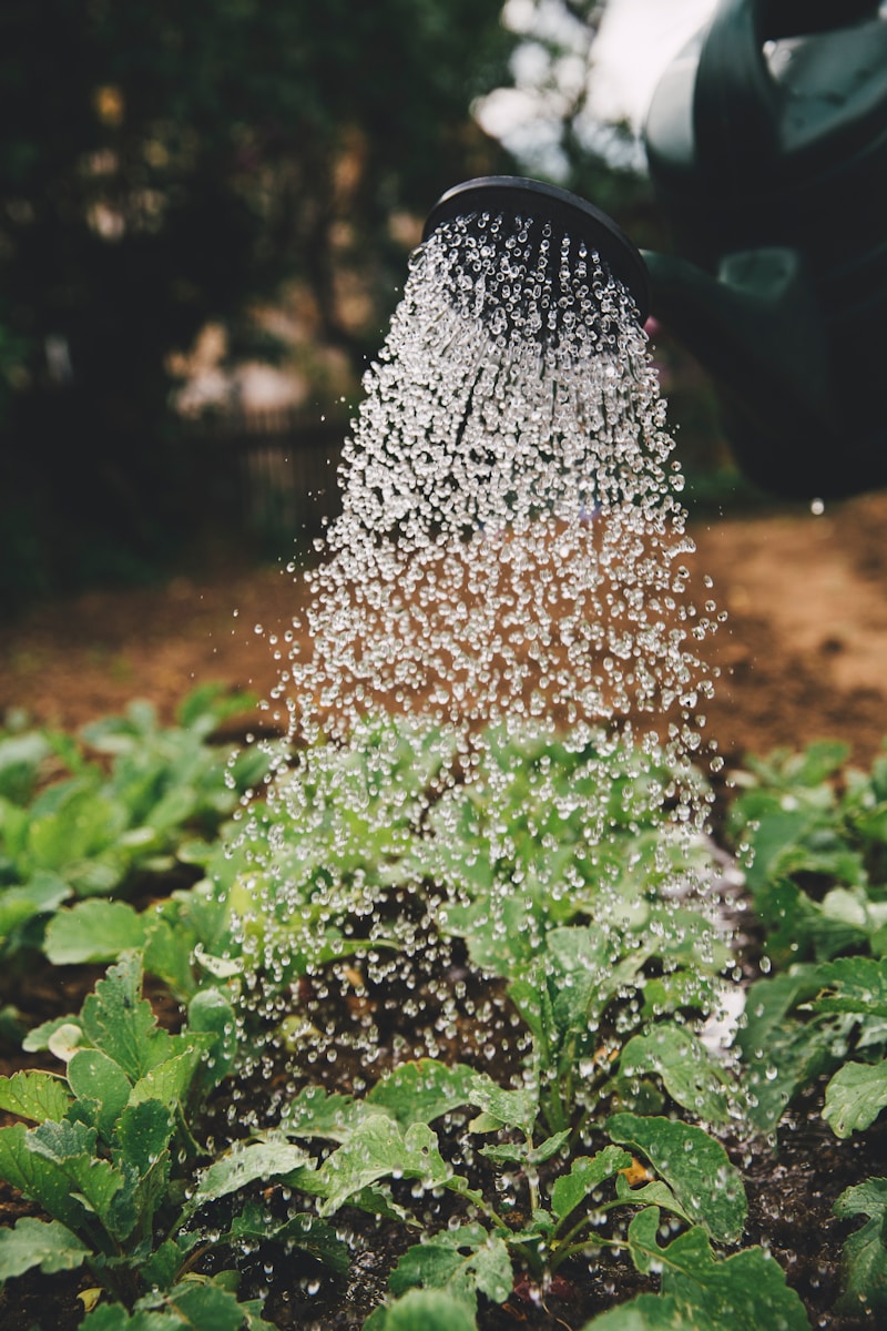 Revolutionizing Rural Agriculture: The Role of Climate-Smart Irrigation in Sustainable Farming