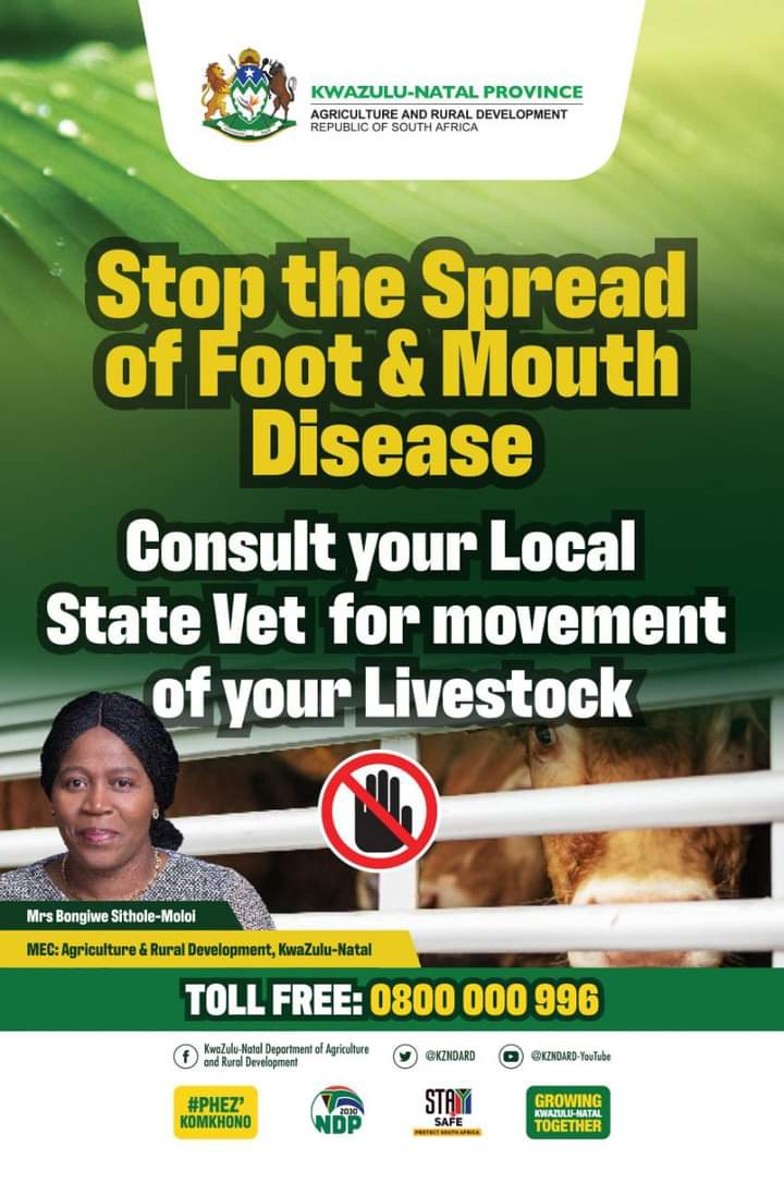 South Africa: Minister Thoko Didiza announces the decision to suspend all movement of cattle in the country due to Foot-And-Mouth disease outbreak