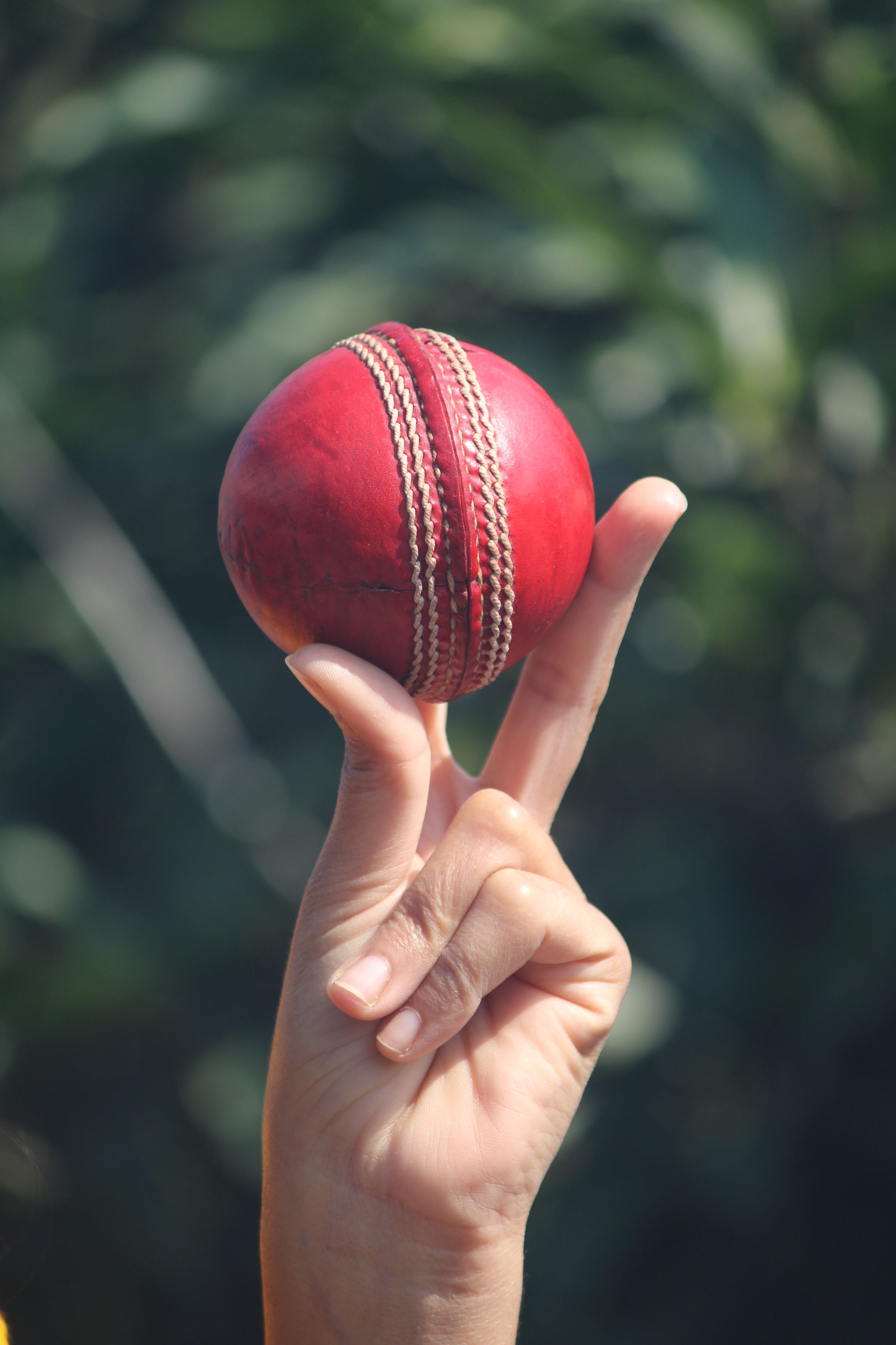 Co-host duty puts Cricket World Cup mandate on SA Cricket