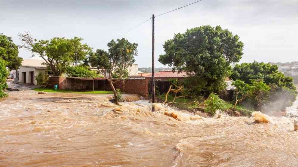 Mpumalanga Floods: 37 Dead as Limpopo Faces Severe Damage